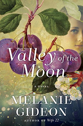 Valley of the Moon   2017 9780345539281 Front Cover