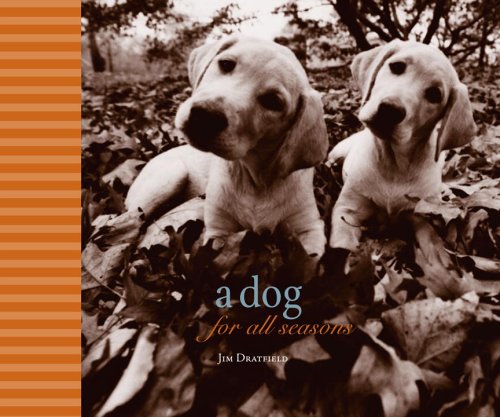 Dog for All Seasons  2006 9780307238283 Front Cover