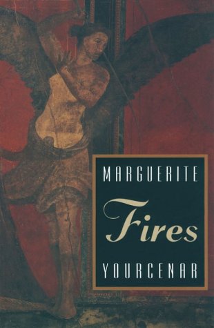 Fires   1994 (Reprint) 9780226965284 Front Cover