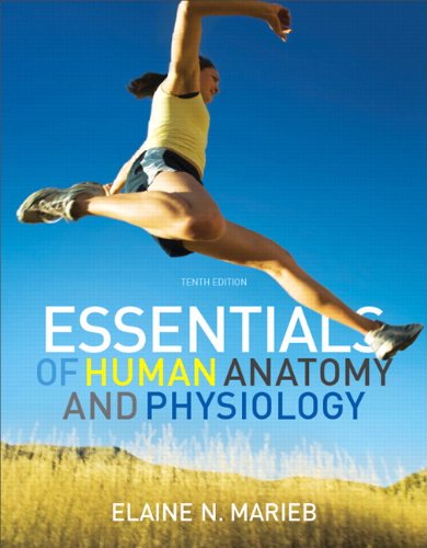 Essentials of Human Anatomy and Physiology  10th 2012 (Revised) 9780321707284 Front Cover