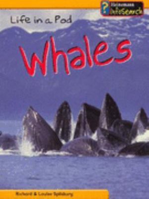 Life in a Pod of Whales:   2005 9780431169286 Front Cover