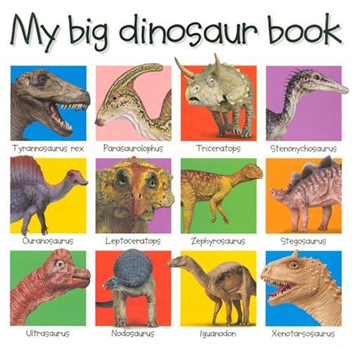 My Big Dinosaur Book   2004 (Revised) 9780312493288 Front Cover