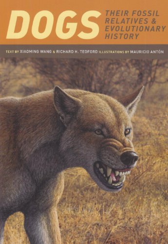 Dogs Their Fossil Relatives and Evolutionary History  2010 9780231135290 Front Cover