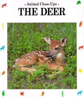 Deer : Forest Friend N/A 9780881064292 Front Cover