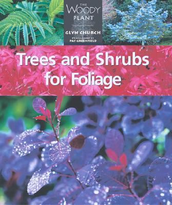 Trees and Shrubs for Foliage   2002 9781552976296 Front Cover