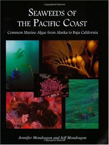 Seaweeds of the Pacific Coast Common Marine Algae from Alaska to Baja California  2003 9780930118297 Front Cover