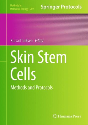 Skin Stem Cells Methods and Protocols  2013 9781627033299 Front Cover