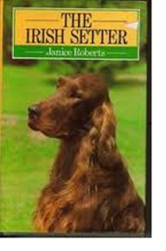 Irish Setter N/A 9780091643300 Front Cover