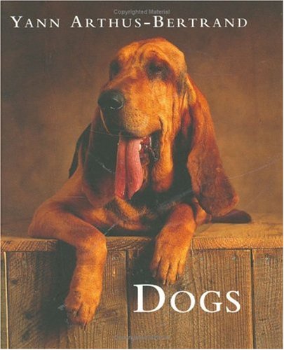 Dogs N/A 9780304356300 Front Cover