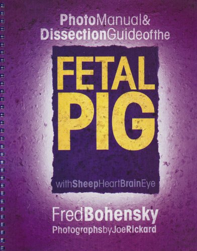 Photo Manual and Dissection Guide of the Fetal Pig With Sheep Heart Brain Eye  2001 9780757000300 Front Cover