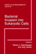 Bacterial Invasion into Eukaryotic Cells   2000 9781441933300 Front Cover