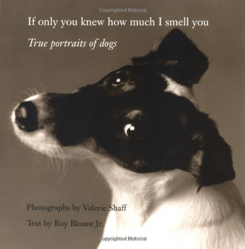 If Only You Knew How Much I Smell You True Portraits of Dogs  2003 9780821228302 Front Cover