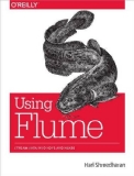 Using Flume Flexible, Scalable, and Reliable Data Streaming  2014 9781449368302 Front Cover