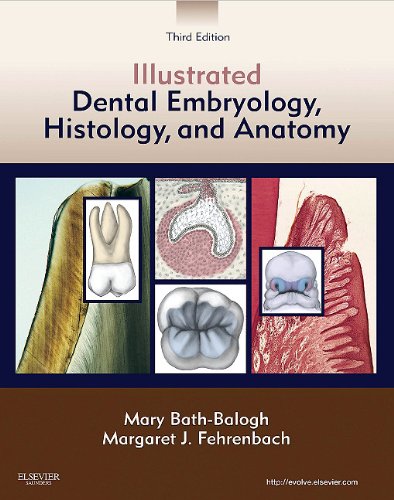 Illustrated Dental Embryology, Histology, and Anatomy  3rd 2011 9781437717303 Front Cover