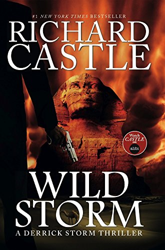 Wild Storm A Derrick Storm Novel  2014 9781783294305 Front Cover