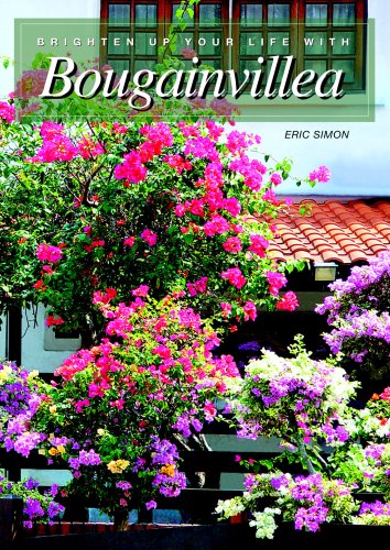 Brighten Up Your Life With Bougainvillea:  2005 9789834188306 Front Cover