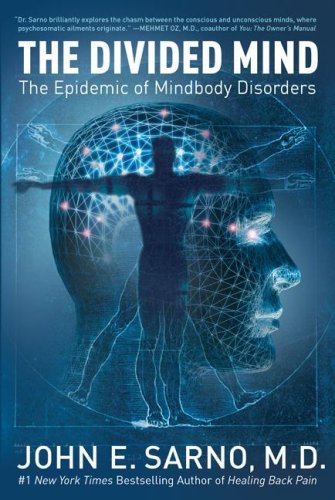 Divided Mind The Epidemic of Mindbody Disorders N/A 9780061174308 Front Cover