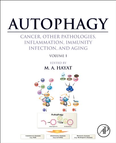 Autophagy: Cancer, Other Pathologies, Inflammation, Immunity, Infection, and Aging Volume 1 - Molecular Mechanisms  2014 9780124055308 Front Cover