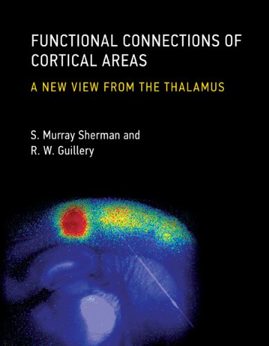 Functional Connections of Cortical Areas A New View from the Thalamus  2013 9780262019309 Front Cover