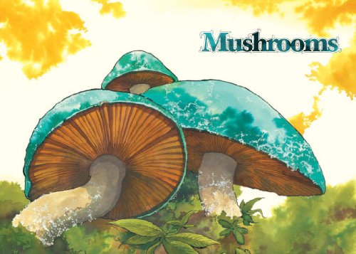 Mushroom Magick A Visionary Field Guide  2009 9780810996311 Front Cover