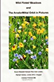 Wild Flower Meadows and the ArcelorMittal Orbit in Pictures Olympic Legacy N/A 9781493763313 Front Cover