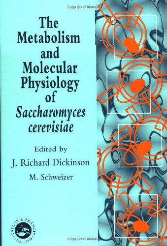 Metabolism and Molecular Physiology of Saccharomyces Cerevisiae   2002 9780748407316 Front Cover