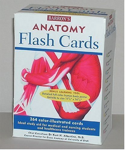 Barron's Anatomy Flashcards 264 Full-Color Cards  2005 9780764178320 Front Cover