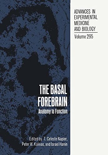 Basal Forebrain Anatomy to Function  1991 9780306439322 Front Cover