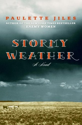 Stormy Weather A Novel  2007 9780060537326 Front Cover
