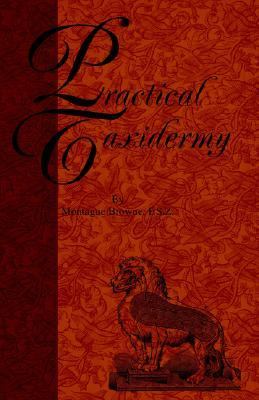 Practical Taxidermy - a Manual of Instru  N/A 9781905124329 Front Cover