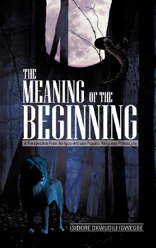 The Meaning of the Beginning: A Perspective from an Igbo-african Popular Religious Philosophy  2012 9781477254332 Front Cover