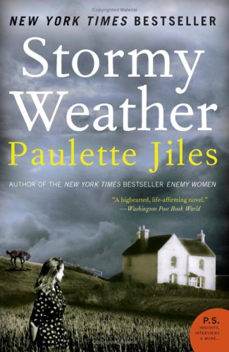 Stormy Weather A Novel N/A 9780060537333 Front Cover