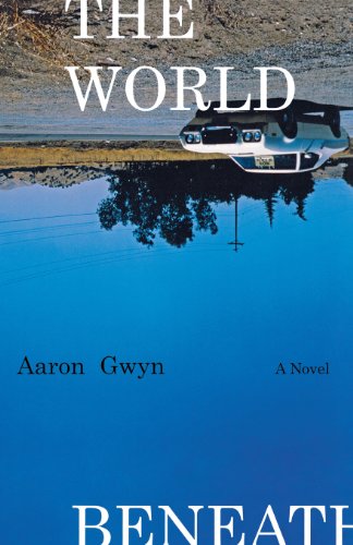 World Beneath A Novel  2009 9780393350333 Front Cover