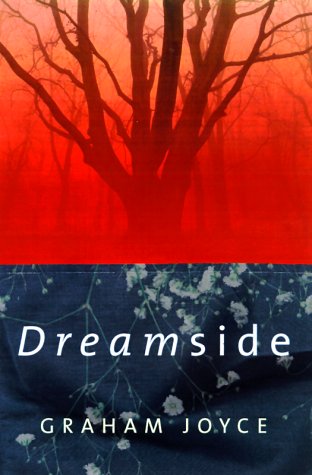 Dreamside   2000 (Revised) 9780312866334 Front Cover