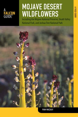 Mojave Desert Wildflowers A Field Guide to Wildflowers, Trees, and Shrubs of the Mojave Desert, Including the Mojave National Preserve, Death Valley National Park, and Joshua Tree National Park 2nd 9780762780334 Front Cover