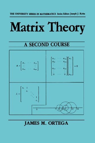 Matrix Theory A Second Course  1987 9780306424335 Front Cover