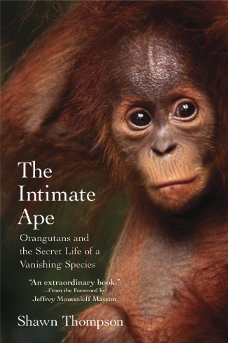 Intimate Ape Orangutans and the Secret Life of a Vanishing Species  2010 9780806531335 Front Cover