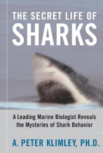 Secret Life of Sharks A Leading Marine Biologist Reveals the Mysteries of Shark Behavior N/A 9781416578338 Front Cover