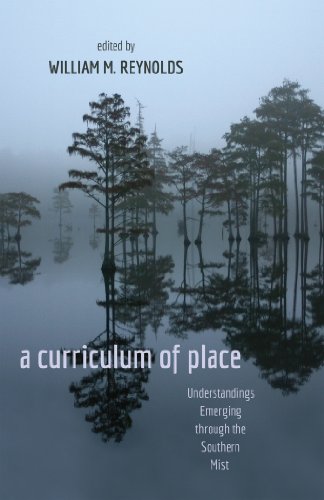 Curriculum of Place Understandings Emerging Through the Southern Mist 2nd 2013 9781433113338 Front Cover