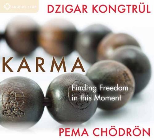 Karma: Finding Freedom in This Moment  2013 9781604079340 Front Cover