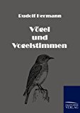 Vögel und Vogelstimmen N/A 9783861956341 Front Cover
