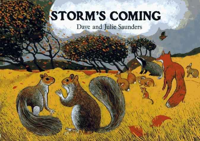 Storm's Coming N/A 9780027781342 Front Cover