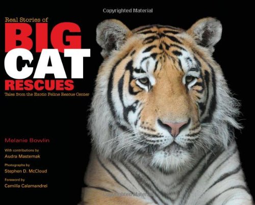 Real Stories of Big Cat Rescues Tales from the Exotic Feline Rescue Center  2010 9780253222343 Front Cover