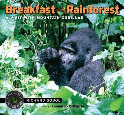 Breakfast in the Rainforest A Visit with Mountain Gorillas  2010 9780763651343 Front Cover