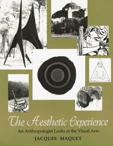 Aesthetic Experience An Anthropologist Looks at the Visual Arts  1986 9780300041347 Front Cover