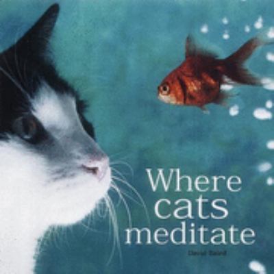 Where Cats Meditate (Gift Book) N/A 9781840724349 Front Cover