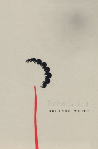 Bone Light   2009 9781597091350 Front Cover