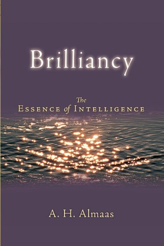 Brilliancy The Essence of Intelligence  2006 9781590303351 Front Cover