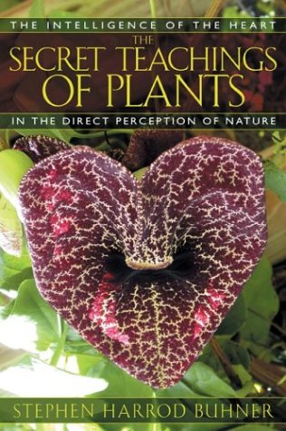 Secret Teachings of Plants The Intelligence of the Heart in the Direct Perception of Nature  2004 9781591430353 Front Cover