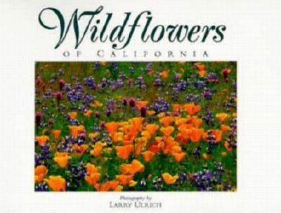 Wildflowers of California Twenty Postcards N/A 9780944197356 Front Cover